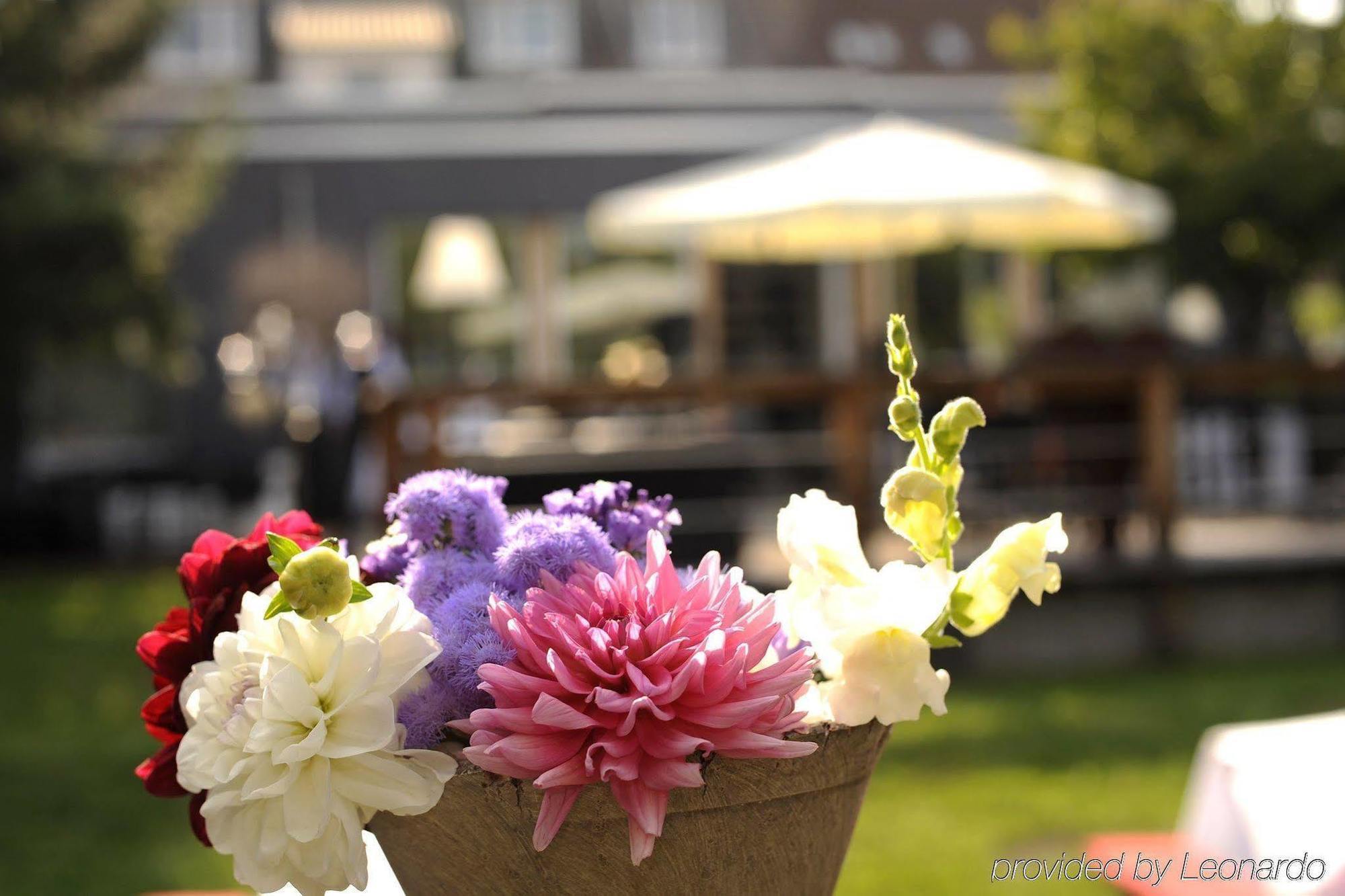 Boutique Hotel Viva Creativo Hannover Dış mekan fotoğraf